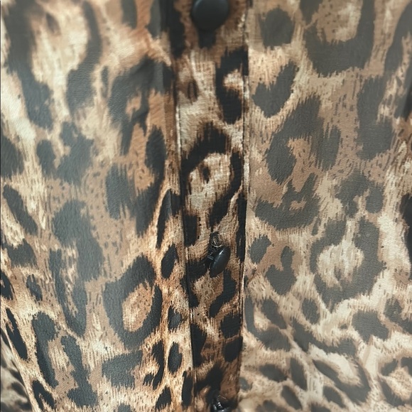 Daniel Rainn Brown Tan Flutter Sleeve Blouse - Picture 4 of 7